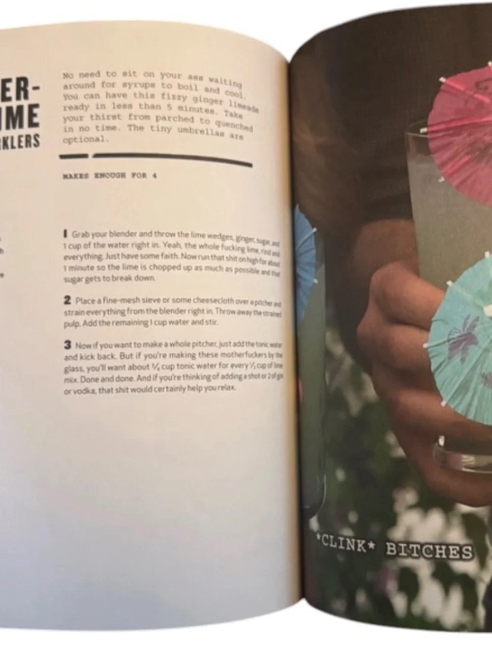 Thug Kitchen Eat Like You Give a F*ck Hardcover Vegan Cookbook Recipes